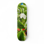 Chilli Plants Green Skate Decks