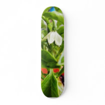 Chilli Plants Green skateboards by lifesphere Chilli Plants Green skateboards