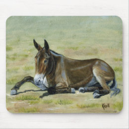 Missouri Pack Mules