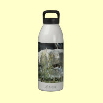 Chillin Out Wolf Water Bottle water bottles