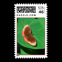 Chilling Stamp