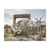 Chimaera in Repose - Postcard