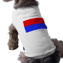 Chimborazo, Equador Dog Tee Shirt