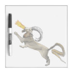 Chimera dry erase boards