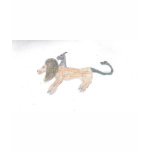 Chimera