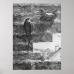 Chimney Swift and Nest Poster