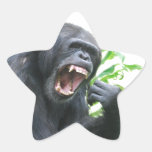 Chimp Baring Teeth Stickers