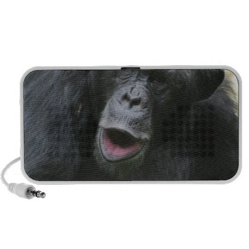 Chimp Chat  Speakers