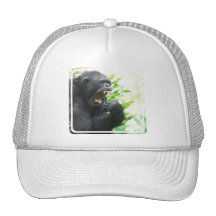 Chimp Fangs Baseball Hat
