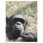 Chimp flyers
