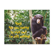 Chimp Humour Postcard