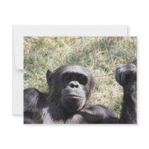 Chimp invitations