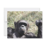 Chimp Personalized Invite
