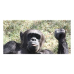 Chimp Photo Card