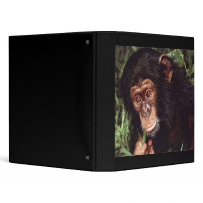 Chimpansee binders