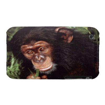 Chimpansee Case-Mate iPhone 3 Case