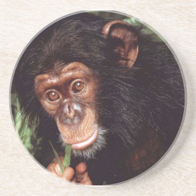Chimpansee Drink Coaster