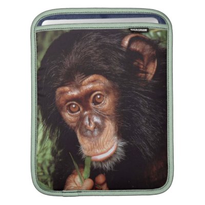 Chimpansee iPad Sleeve