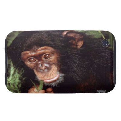 Chimpansee iPhone 3 Tough Cover