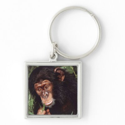 Chimpansee keychains