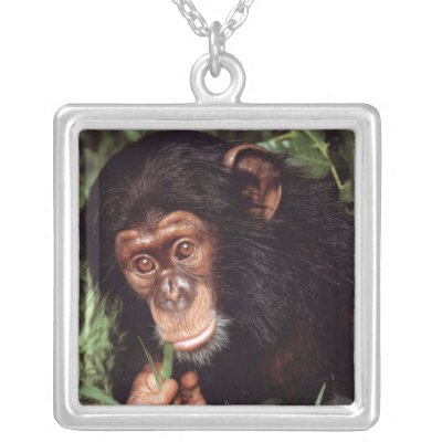 Chimpansee necklaces