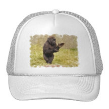 Chimpanzee Baseball Hat