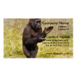 Chimpanzee Business Card