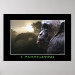 Chimpanzee CONSERVATION Art Poster posters