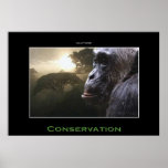 Chimpanzee CONSERVATION Wildlife Art Poster posters