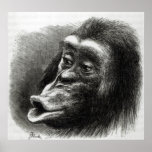 Chimpanzee Disappointed and Sulky posters
