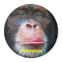 CHIMPANZEE FACE Primate Wildlife Art Magnet