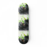 Chimpanzee Fangs Skateboard