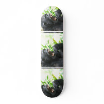 Chimpanzee Fangs Skateboard
