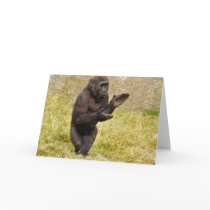 Chimpanzee Greeting Card