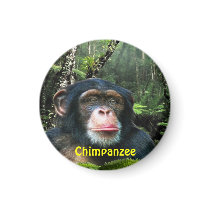 CHIMPANZEE & JUNGLE Primate Wildlife Art Magnet