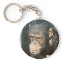 Chimpanzee keychain keychains