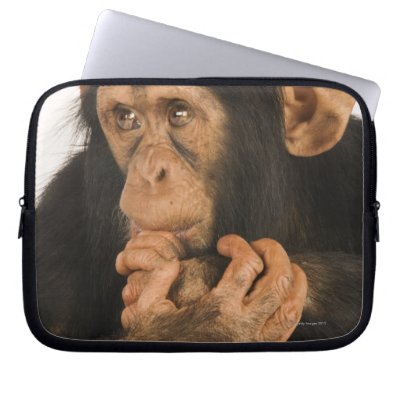 Chimpanzee Computer