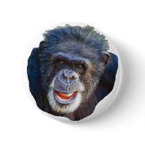 Chimpanzee Picture buttons