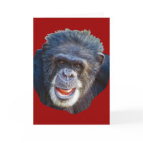Chimpanzee Picture cards