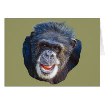 Chimpanzee Picture cards