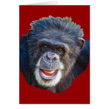 Chimpanzee Picture Cards