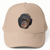 Chimpanzee Picture hats