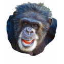 Chimpanzee Picture t-shirts by kphotos Chimpanzee Picture t-shirts