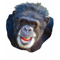 Chimpanzee Picture t-shirts