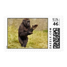 Chimpanzee Postage Stamp