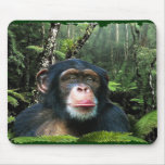 Chimpanzee Rainforest Conservation Mousepad