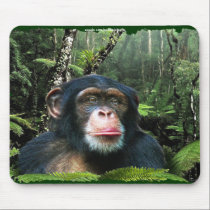 Chimpanzee Rainforest Conservation Mousepad mousepads