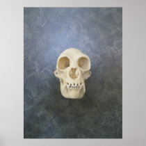 Chimpanzee Skull Print