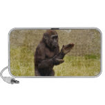 Chimpanzee Speakers