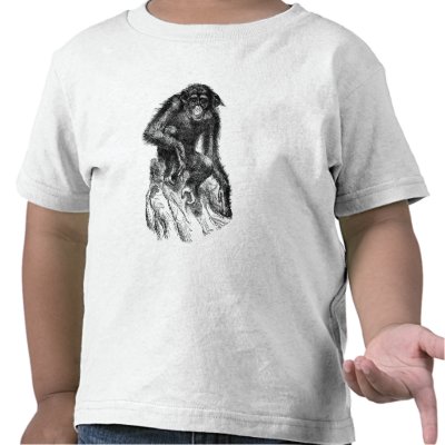 Chimpanzee T Shirts by kimma74